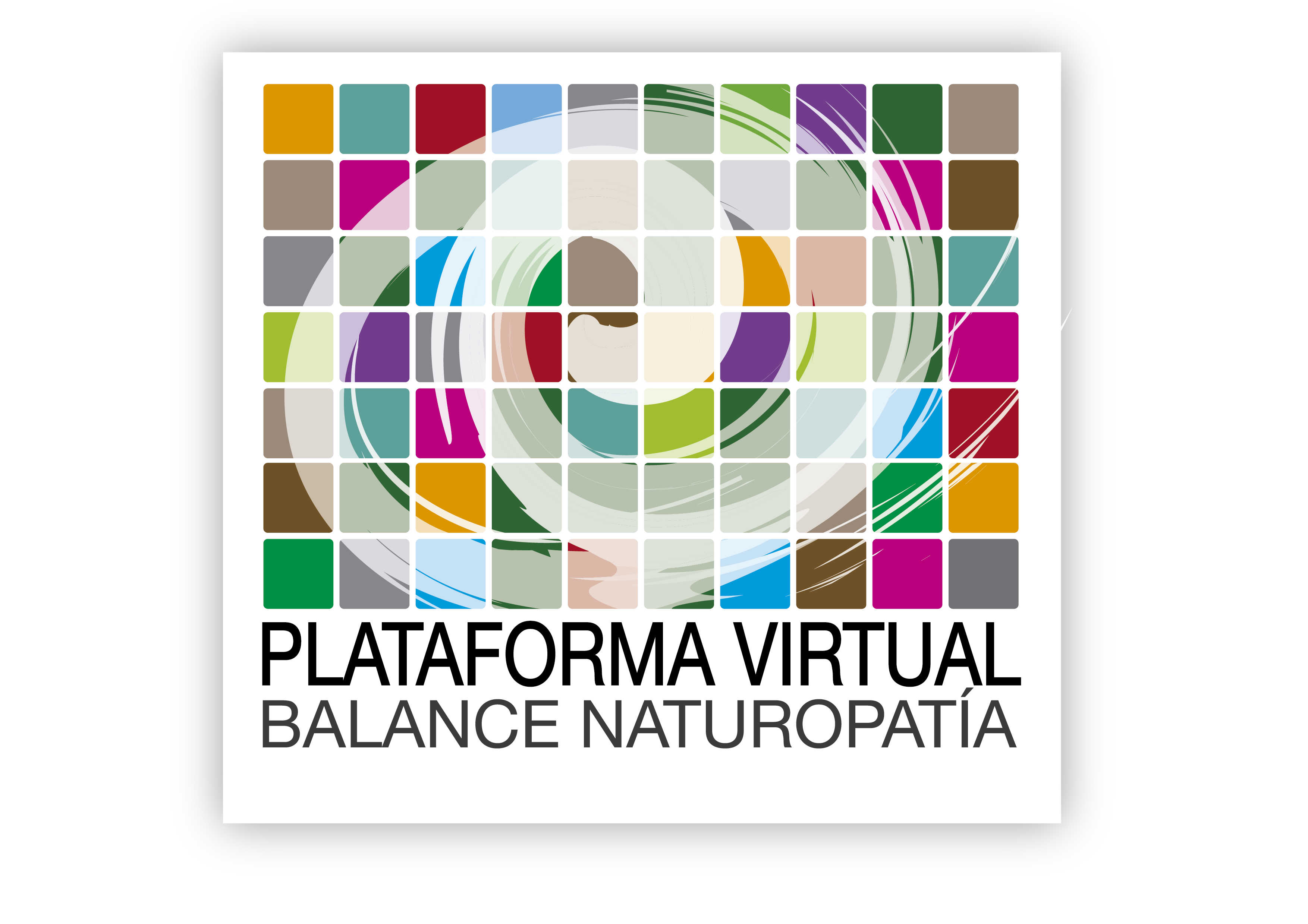 Aula Virtual Método Balance